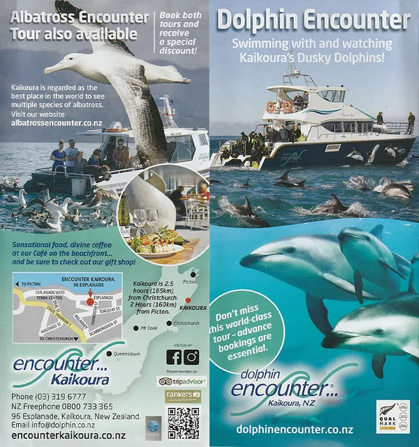 front cover of Encounter Kaikoura dolphin brochure
