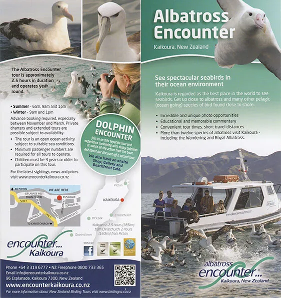 front cover of Albatross Encounter Kaikoura brochure