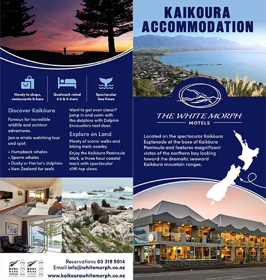 front cover of The Kaikoura White Morph brochure