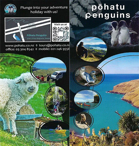 front cover of Pohatu Penguins brochure