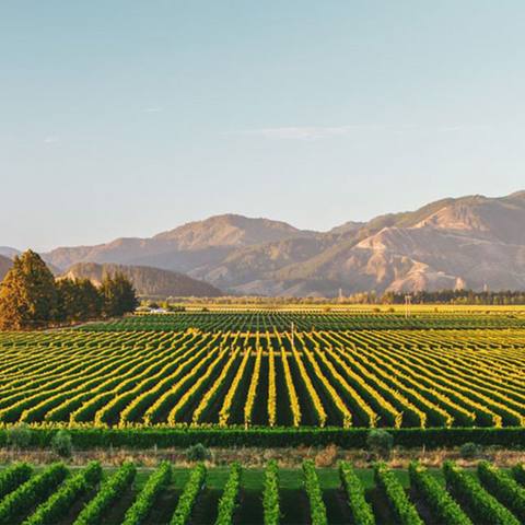 Marlborough brochure display region, South Island NZ