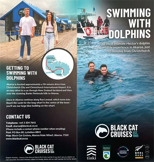 front cover of Akaroa Swimming with Dolphins brochure